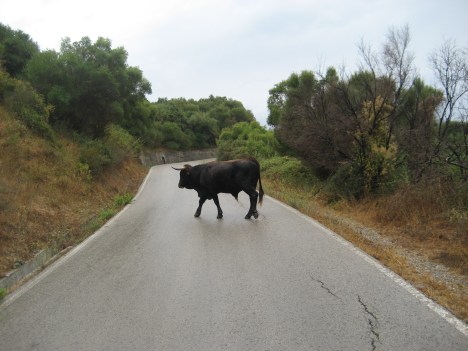 El monte es mu... muy mío